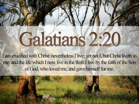 Bible-Verses-On-Love-Galatians-2-20-21-Trees-HD-Wallpaper